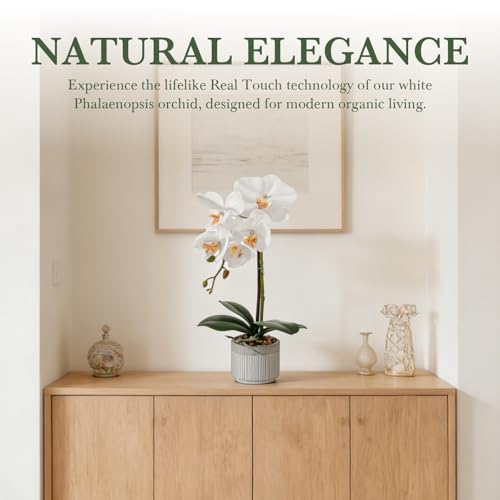 13.7" White Artificial Orchid Flowers in Ceramic Pot, Realistic Silk Phalaenopsis Arrangement with Stone, Waterproof Fake Orchid Plant for Bathroom, Home Office Table Top Centerpiece Decor(Orchid 1) - color: Orchid 1