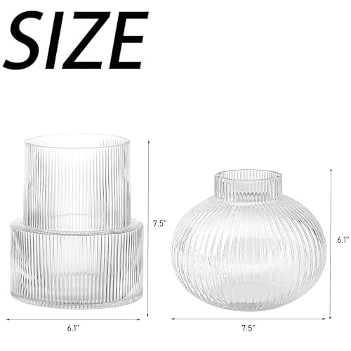 Ribbed Glass Vases, Set of 2 Fluted Vases for Flowers, Clear Glass Vase for Tulips, Modern Vase for Living Room, Kitchen, Office, Entryway, Mantle, Bookshelf, Wedding Gifts, Birthday - color: Clear, size: Ribbed + Round (2-Pack)
