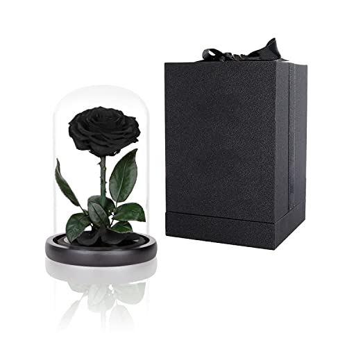 Preserved Roses Black Roses in Glass Dome, Medium, Preserved Flowers for Women - color: Black, size: Medium
