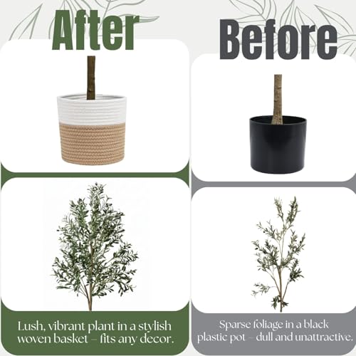 6ft Dense Leaves Artificial Olive Tree with Woven Basket - Realistic Faux Olive Tree for Living Room, Office & Home Decor - Large&Tall Indoor Floor Plant，Aesthetic Silk Plants