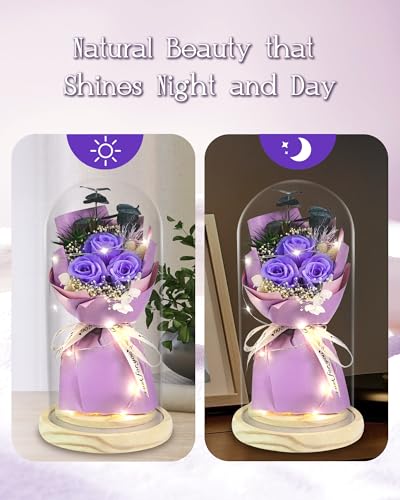 HVY Preserved Flower Bouquet Gift for Her,Forever Fresh Flowers for Delivery Prime Preserved Roses in Glass with LED Light Mothers Day Birthday Gifts for Mom,Wife,Grandma, Purple Rose - color: Purple Rose