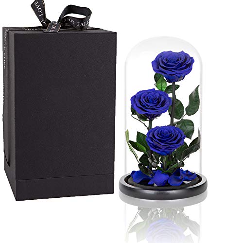 Preserved Roses Handmade Preserved Flowers in Glass Dome, Blue Rose Never Withered, Birthday Gifts for Women (13 inch) - color: Royal Blue, size: X-Large