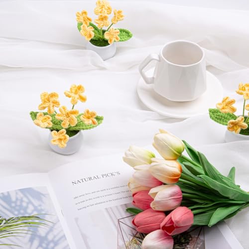 LAIDANLA Yellow Crochet Flowers Forget Me Not, Mini Handmade Yarn Flower Potted Plants for Desk, Anniversary Graduation Appreciation Birthday Gifts for Women Friend Teacher Coworker Mom - color: Yellow