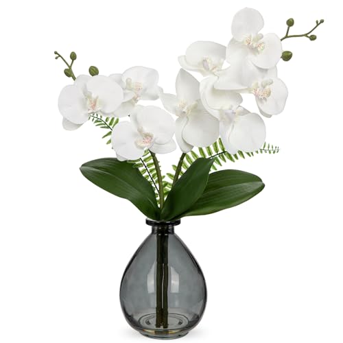 Oairse White Orchids Artificial Flowers, Faux Orchid in Glass Vase Real Touch Small Phalaenopsis Orchid Flowers Arrangements with Black Vase Orchids Centerpiece for Dining Room Table - color: White & Black