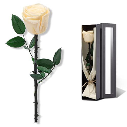 Champagne Flowers for Delivery Prime, Preserved Champagne Roses Flower Gifts for Women, Real Roses Single Rose Gifts for Her, Mom Birthday Gifts from Daughter, Valentines Flowers - color: 03-champagne