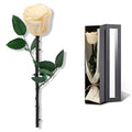 Champagne Flowers for Delivery Prime, Preserved Champagne Roses Flower Gifts for Women, Real Roses Single Rose Gifts for Her, Mom Birthday Gifts from Daughter, Valentines Flowers - color: 03-champagne