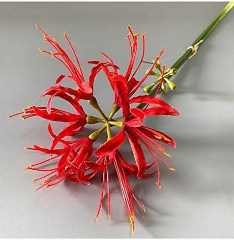 6 Stems 26.38 Inch Artificial Lycoris Radiata Spider Lily Flowers for Home Garden Decoration Red - color: Red