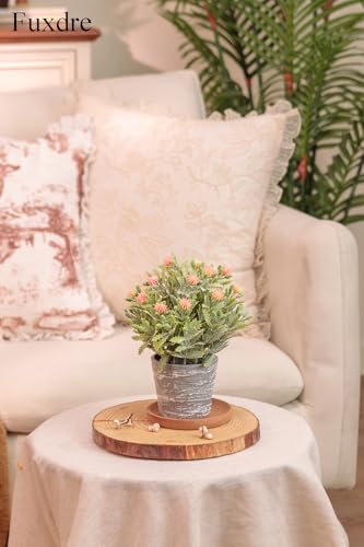 2 Pack Small Desk Plants, Artificial Bathroom Plants Decor with Flower in Vintage Melamine Pots, Faux Plants Indoor for Shelf Decor in Home Office, and Spring Decor (Peach) - color: Peach