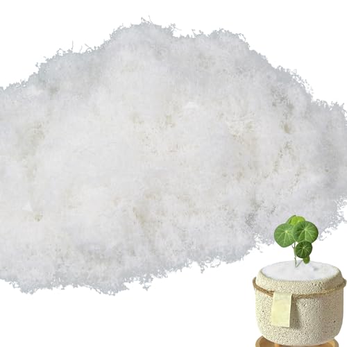 FAICOIA Fake Moss for Crafts 5.5OZ Faux Moss for Plants Indoor Artificial Moss for Decorating White Faux Grass for Planters Crafts DIY Table Centerpieces Fairy Garden Floral Wedding Decor 153g