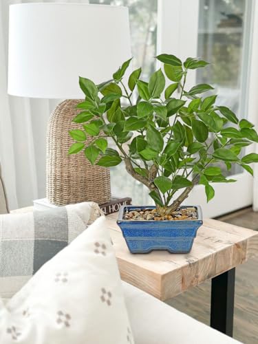 Fake Plants Small Artificial Plants Indoor 15.3" Fake Potted Plants Realistic Faux House Topiary Plants with Blue Ceramic Pot for Home Office Bathroom Kitchen Farmhouse Table Centerpieces Shelf Decor - color: Green -Blue Pot