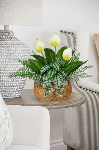 Fake Plants 15" Artificial Potted Plant Assorted Faux Plants in Pot Silk Plants Artificial Plants Indoor for Home Living Room Bedroom Bathroom Office Desk Table Centerpieces Shelf Greenery Decor - color: Woven Pot