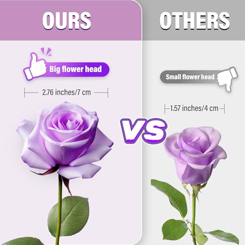20PCS Artificial Roses with Long Stems - Realistic Silk Flowers, Fake Roses Real Touch Bouquet of Roses for Home Decor, Bridal Wedding Party Table Centerpieces, Bulk Faux Rose Flowers ( Purple ) - color: Purple, size: 20 PCS