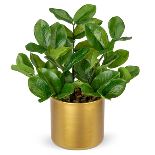 Briful Faux Plants Indoor Artificial ZZ Plant with Gold Pot 11.8in Realistic Fake Silk Plants for Home Office Bathroom Kitchen Dining Table Centerpiece Decoration - color: Gold Pot Small