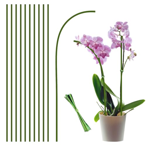 10Pcs Plant Stakes,Plant Sticks,Garden Green Bendable Single Stem Plant Support Stakes for Indoor and Outdoor Plants,Potted Plants,Flowers Orchid Peony Rose-15 Inches - size: 15 Inches