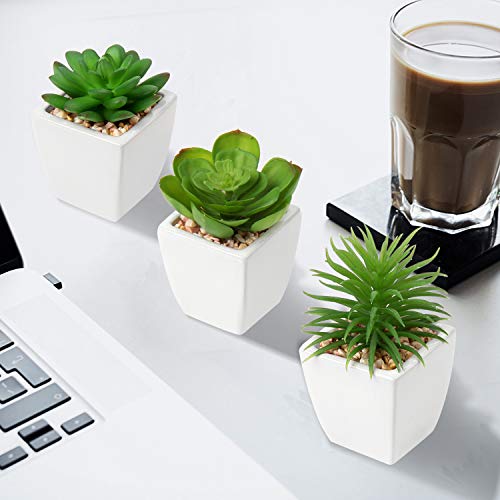 Hollyone Succulents Plants Artificial 3Pcs Small Fake Succulents in Pots Faux Plastic Potted Plants with White Ceramic Pot for Home Decor Classroom Office Bathroom Shelf Indoor & Outdoor Decorations - color: 3pack - White Ceramic 1