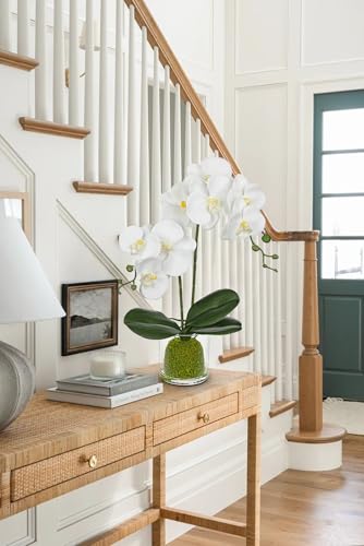 White Orchids Artificial Flowers 16.1" Faux Orchids Plant in Pot Fake Flower Arrangements with Glass Vases Small White Centerpieces for Kitchen Dining Room Tables Bathroom Nightstand Shelf Desk Decor - color: White Orchid & Green Moss Grass