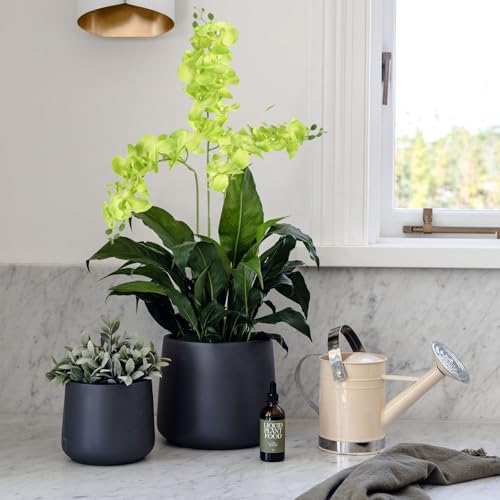 Green Orchids Artificial Flowers 6PCS Silk Orchids 35" Fake Orchid Stems Artificial Orchids That Look Real for Wedding Home Table Centerpieces Decor(Green) - color: Green