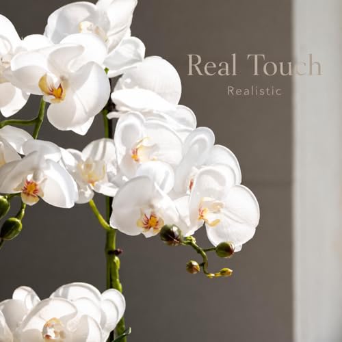 Avoeco Artificial Real Touch Orchid Plant – 20″ Faux Phalaenopsis in Pot – Highly Realistic Silk Orchid Flower & Leaf Texture for Home, Office,Shop & Wedding Décor (1 White, 20”) - color: 1 White, size: 20”