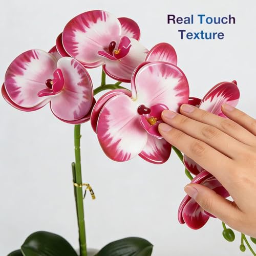 Artificial Orchid Flowers in Pot, 12" Real Touch Phalaenopsis Faux Orchid Plant with Fake Moss, Small Artificial Flowers Arrangement for Home Decor Indoor, Bathroom, Office Table C (Rose Red) - color: Rose Red