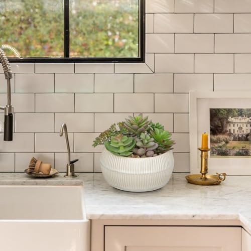 DILATATA Artificial Succulent Plants in Pot 5.5 Inch Fake Succulents Arrangement Potted Plant in White Ceramic Planter Bowl for Home Office Desk Shelf Living Room Bedroom Bathroom Decor - color: White Ceramic#style 3
