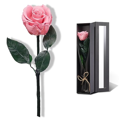 Coral Pink Flowers for Delivery Prime, Preserved Pink Roses Flower Gifts for Women, Real Roses Single Rose Gifts for Her, Mom Birthday Gifts from Daughter, Valentines Flowers - color: 08-coral Pink