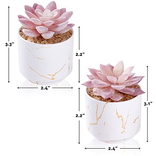 ZENIDA Artificial Plants and Succulents in 2 White Ceramic Pots,Small Fake Plants for Office and Desk Decor,Bathroom, Bedroom,Shelves for Women - color: White