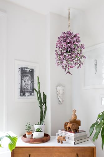 Briful Fake Hanging Plants 17.7" Faux Watermelon Peperomia Silk Plants with Black Pot Artificial Hanging Greenery for Home Garden Balcony Front Porch Outdoor Decor - color: Purple