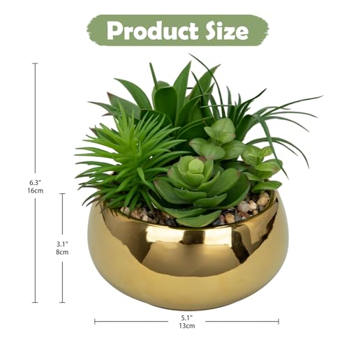 Hollyone Succulents Plants Artificial in Pots Fake Succulents for Outdoors Indoor Faux Succulent Arrangement Potted Plant in Gold Ceramics Planter Bowl for Garden Office Desk Living Room Home Decor - color: Gold