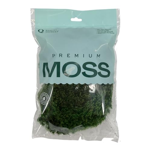Preserved Mood Moss - Decorative Moss - Dried Moss for Crafts, Home Decor, Art, Design & DIY Projects - for Indoor Use - Natural Green - Small Size - color: Mood Moss, size: Small