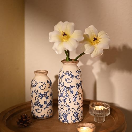 VICTOR & TERESA Blue and White Ceramic Vases Home Decor, Farmhouse Vase for Flowers, Flower Vase Set of 2, Rustic Decorative Vases for Pampas Grass, Table, Living Room, Shelf, Centerpieces, 8 inch - color: Blue and White
