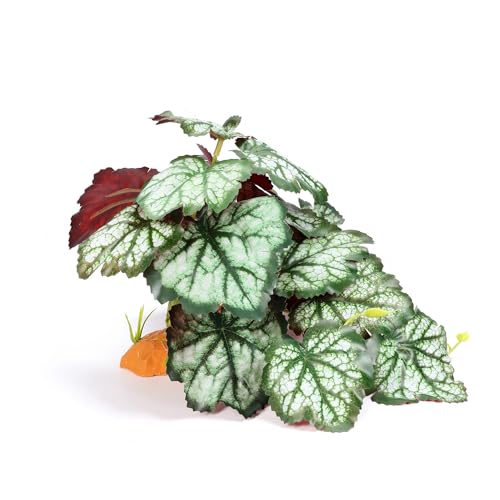 Reptile Plants for Terrarium, Amphibian Habitat Decor Plant, Bearded Dragon Tank Decorations, Artificial Plants for Gecko Lizard Chameleon Tortoise Ball Python Snake with Base - Fake Saxifrage - color: Fake Saxifrage