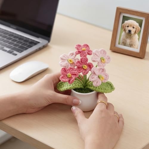 Crochet Flowers Handmade Knitted Potted Flower, Crochet Gifts for Coworkers Teacher Appreciation Cute Home Dorm Room Office Plants Accessories Pink Flower Desk Decor for Women Daughter - color: Gradient Pink