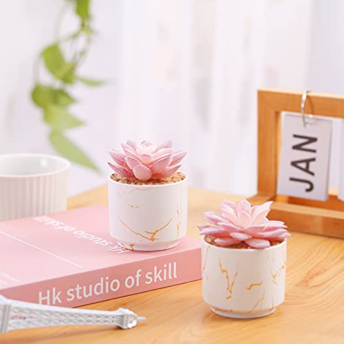 ZENIDA Artificial Plants and Succulents in 2 White Ceramic Pots,Small Fake Plants for Office and Desk Decor,Bathroom, Bedroom,Shelves for Women - color: White