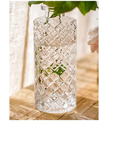 Set of 3 Mini Clear Glass Vase,Small Flower Bud Vase Hydroponics Planter Decorative for Flower,Table,Party,Home,Centerpieces(Clear 2) - color: Clear 2