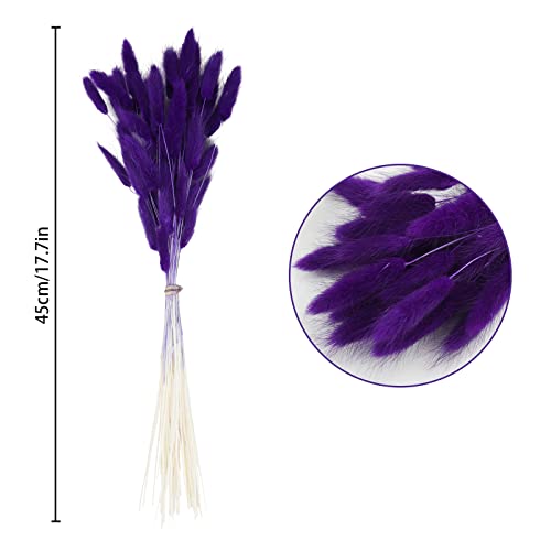 Uieke 17’’ Natural Bunny Tails Dried Flowers, 50 Pcs Dried Lagurus Ovatus, Dried Purple Pampas Grass Decor for Farmhouse Flower Arrangements Wedding Home Craft Boho Party Decorations - color: Purple-50pcs