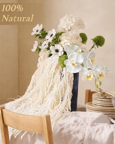12PCS Dried Amaranthus Hanging Flowers - 23" Ivory White Preserved Floral Stems for Wedding Arch, Wall Decor, Centerpiece Arrangements, Garland, Home Vase Filler - color: 12pcs Ivory White