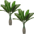 Chunyin 2 Pcs Small Palm Tree Artificial Palm Tree 17" Small Faux Plants Plastic Fake Artificial Leaf Tropical Plants Mini for Office Desk Shelf Bathroom Home Indoor Outdoor Decor
