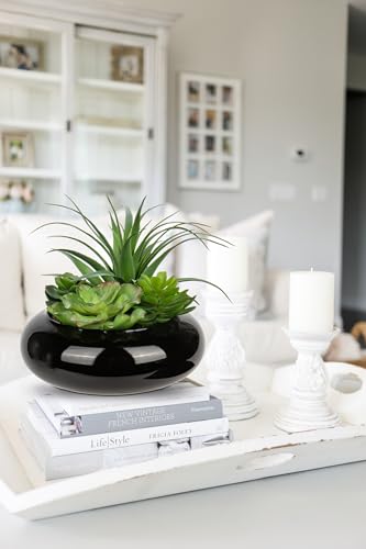 Large Artificial Succulents Plants Faux Succulents in Pots Fake Succulent Arrangement Potted Plants with Black Ceramic Pot for Office Desk Bathroom Shelf Living Room Indoor & Outdoor Home Decor - color: Large Black