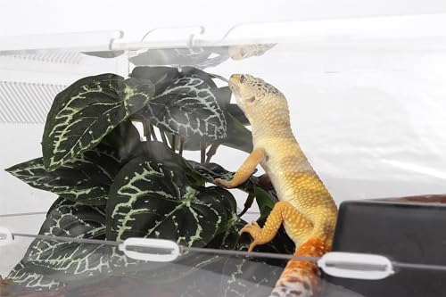 Reptile Plants for Terrarium, Ball Python Tank Decor Accessories fit Bearded Dragon Crested Leopard Gecko Lizard Chameleon Snake Frog Tortoise Hermit Crab - Fake Anthurium Crystallinum - color: C-fake Anthurium Crystallinum