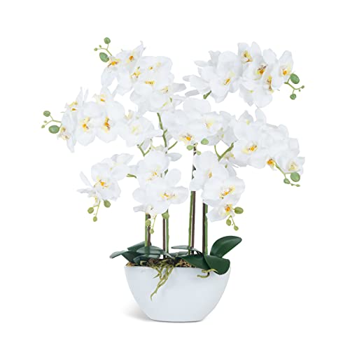 Ziwon Artificial Orchid Flowers & Plants Potted in Ceramic Pot, White Faux Phalaenopsis Orchids for Table Centerpiece, Realistic Fake Flower Arrangement for Home Office Decor Indoor - color: White & White 02