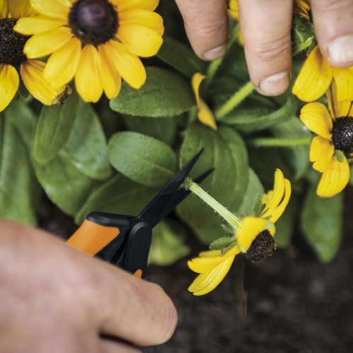 Fiskars 6" Pruning Scissors (2-Pack) for Flowers, Buds, Weeds and Small Plants, Garden Snips with Resin Resistant Nonstick Stainless Steel Blades, Gardening Trimmers with Comfortable Handle - style: Non-Stick Snips (2-Pack)