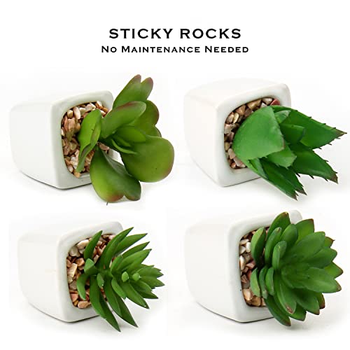 Hollyone Succulents Plants Artificial 4Pcs Small Fake Succulents in Pots Faux Plastic Potted Plants with White Ceramic Pot for Home Decor Office Desk Bathroom Shelf Indoor & Outdoor Decoration - color: 4pack - White Ceramic