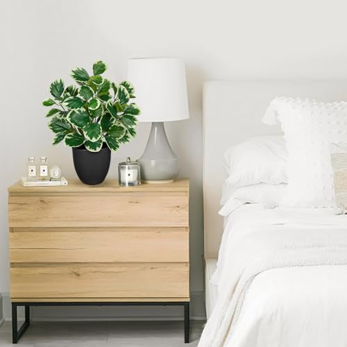 Villa Como 14.5" Artificial Plants Indoor Home Decor, Fake Potted Silk Plants for Shelves Living Room Decorative, Small Artificial Office Desk Plant in Pots, Faux Peperomia Hope Tropical House Plant - color: #Funny White Margin