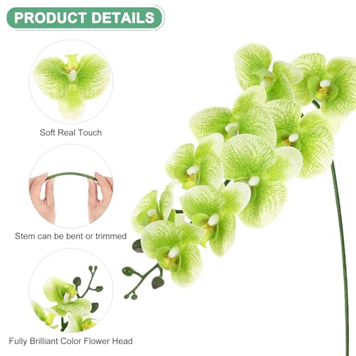 M METERXITY 6-Pack Artificial Orchid Flowers 9 Large Petals 37 Inch Faux Phalaenopsis Silk Bouquets Real Touch Dark Green Fake Orchids for Home/Wedding/Christmas/Party/Garden Office - color: Dark Green