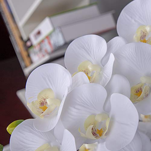 Fnize Orchid Stems Artificial Flowers Real Touch Latex Faux Phalaenopsis Branches 9 Large Blooms 38 Inches 2pcs White - color: White