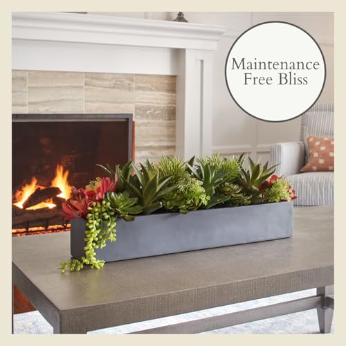 CG Hunter Oblong Faux Succulent Arrangement, Premium Artificial Indoor Plant Enhances Interior Design, Display on any Surface in Your Home Adding an Inviting Touch of Nature, Grey Planter Pot Included - size: 27" Oblong Grey Planter