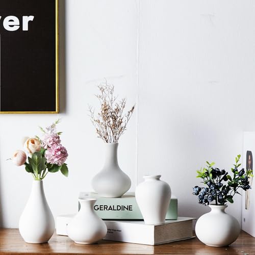 White Bud Vases, Ceramic Small Vase Set of 5, Mini Vases for Fresh and Dried Flowers, Modern Home Decor, Pottery Centerpiece Table Decorations - color: White - 5 Pcs
