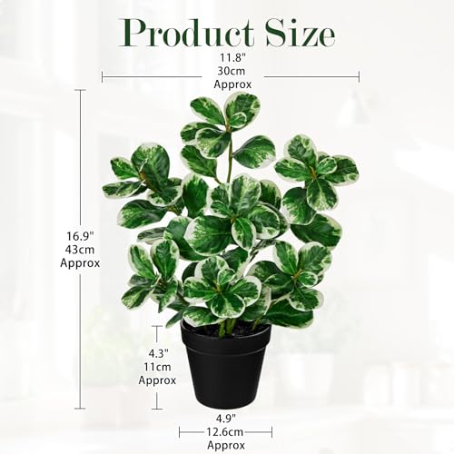 17" Artificial Rubber Plant in Black Pot, Faux Ficus Plant Potted with Cream White Edge Foliages, Fake Greenery Plant for Home Office Tropical Decor - size: 17" & Small