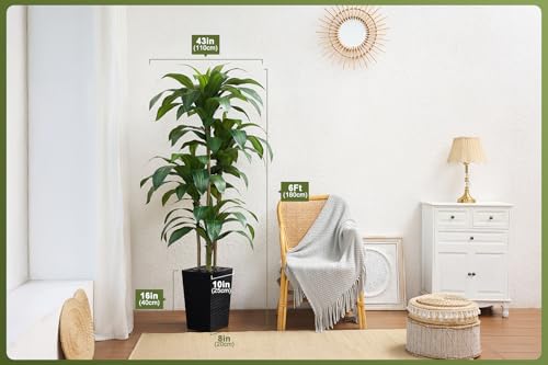 VeriNatural 6FT Artificial Dracaena Tree - UV Resistant Faux Tropical Plant, Potted Fake Tree with Taper Planter & Pebbles - Indoor Outdoor Greenery for Home, Porch, Living Room, Bedroom Decor, VN127 - color: Black, size: 6ft