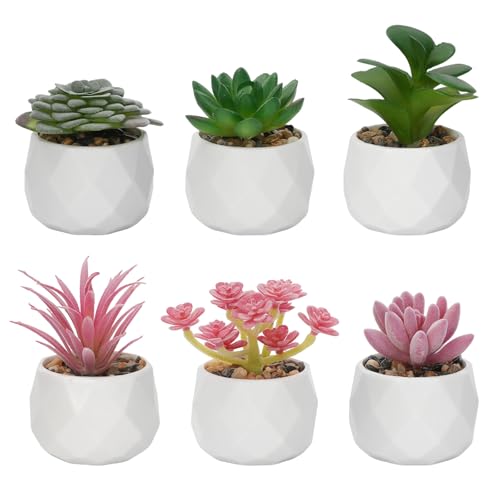 Artificial Succulents, Set of 6, White Plastic Pots | Small Fake Desk Plants, Realistic Succulent Plants, For Shelf Bedroom Balcony Windowsills Office Room Decor